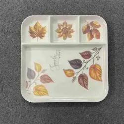 Autumn Leaves Divided Melamine Serving Tray 4 Compartment Square Snack and Dinner Plate